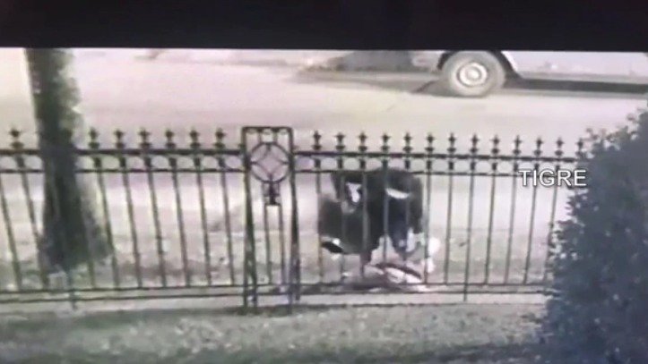 Matan a jubilada y queman su vivienda