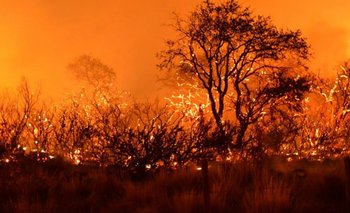 La Pampa: aumenta la cantidad de hectáreas quemadas y ya suman más de 665.000