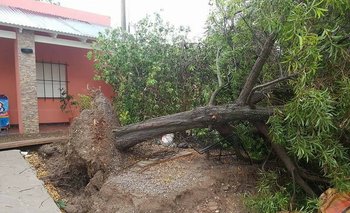 Pedro Luro: el temporal de anoche dejó graves destrozos en la localidad, La Salada y la zona rural