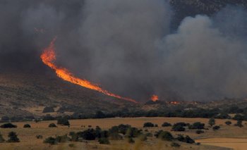 Números que sorprenden: cuántas hectáreas arrasó el fuego en las sierras