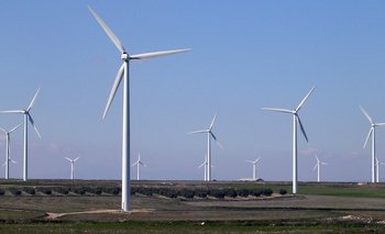 Una importante inversión con viento de cola en Tres Arroyos