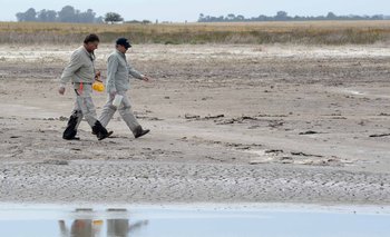 La ciencia busca en lago Epecuén los medicamentos del futuro