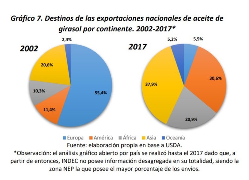 Cuando lo que importa es el proceso: ¿Podrá recuperarse el girasol tras su  caída? - La Nueva