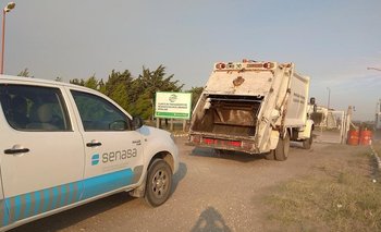 Cebolla: decomisan 170 bolsas identificadas con el número de Renspa usurpado