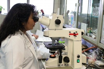 El Gobierno dispuso aumento del 9,38 % para las jubilaciones de los científicos