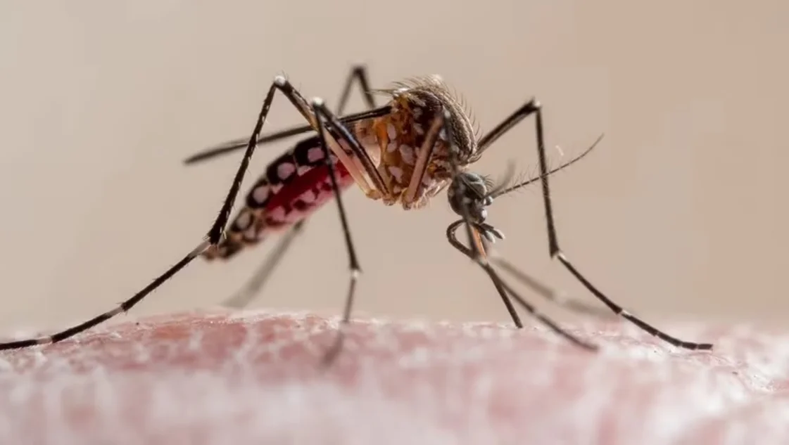 Dengue: confirmaron tres muertes y los casos siguen en aumento