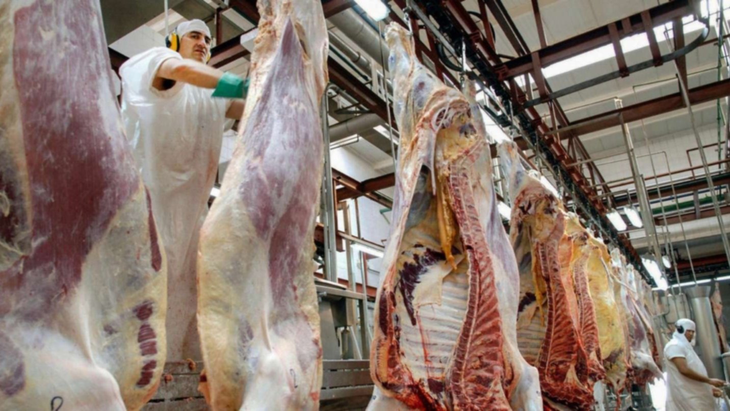 El Gobierno suspende las exportaciones de carne por al menos 30 días