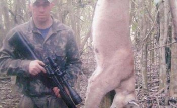 Condenaron a un cazador por matar un puma en una reserva natural