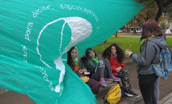 UNS: el Departamento de Ciencias de la Salud se manifestó a favor de despenalizar el aborto