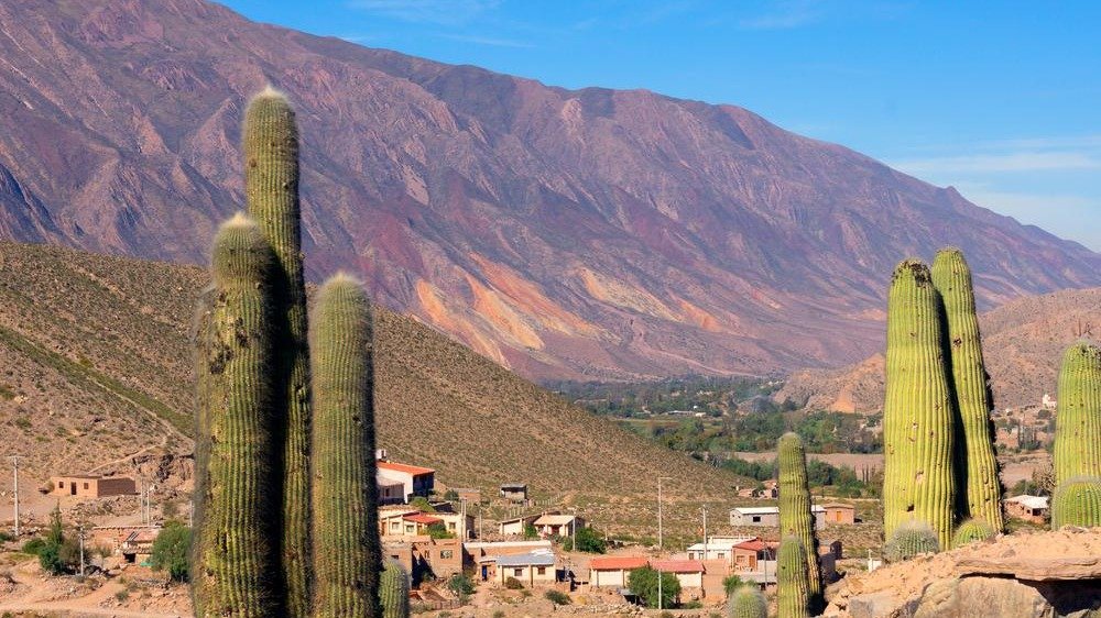 Norte Argentino: uno de los paisajes más impactantes