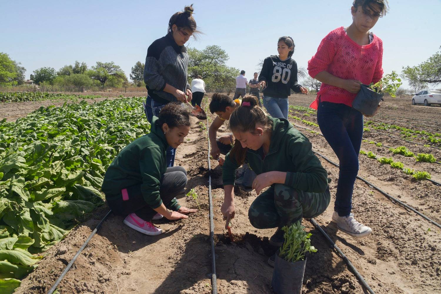 Necesitamos una provincia productivista. Y eso incluye a la ley de desarrollo del SOB