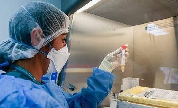 Reportaron 15.077 contagios y 426 muertes por COVID-19 en las últimas 24 horas - Vimarsana News