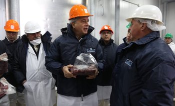 Inédito: Argentina concretó una exportación de carne de guanaco