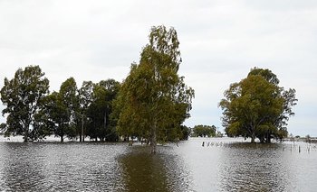 Una cena de gala con un acuerdo histórico y ya se viene la autopista en la 33