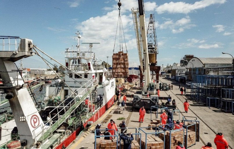 Vuelve el pescado a cobrar importancia en el puerto de Bahía? - La Nueva