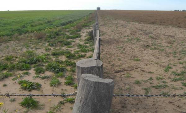 Declaran "Estado de emergencia agropecuaria" en parte de Coronel Rosales - La Nueva