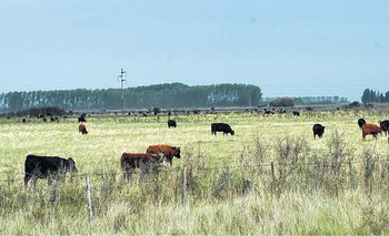 Adónde va a parar la renta agrícola regional