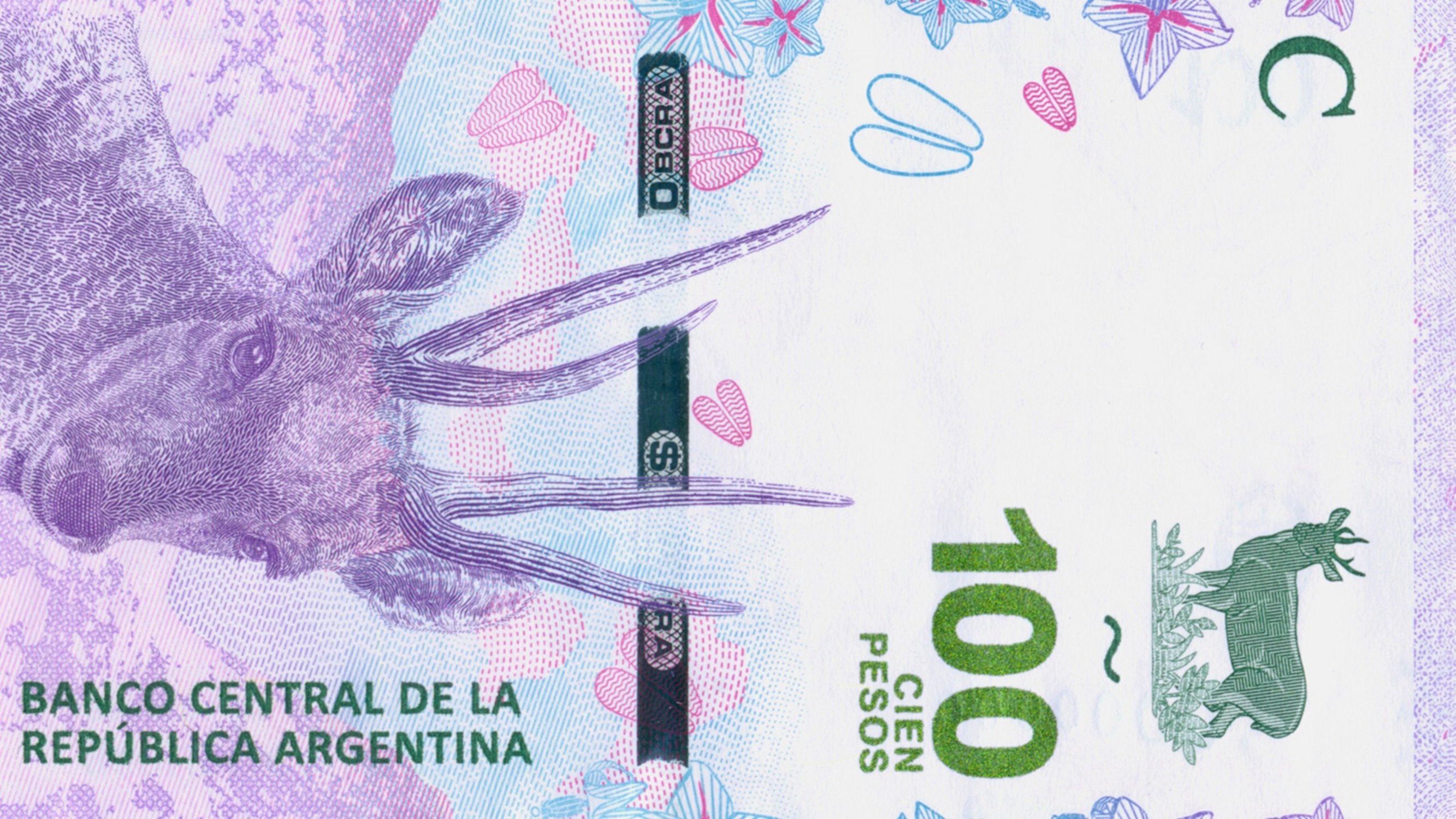 El Central Puso En Circulación Un Nuevo Billete De 100 Con La Imagen De Una Taruca 6603